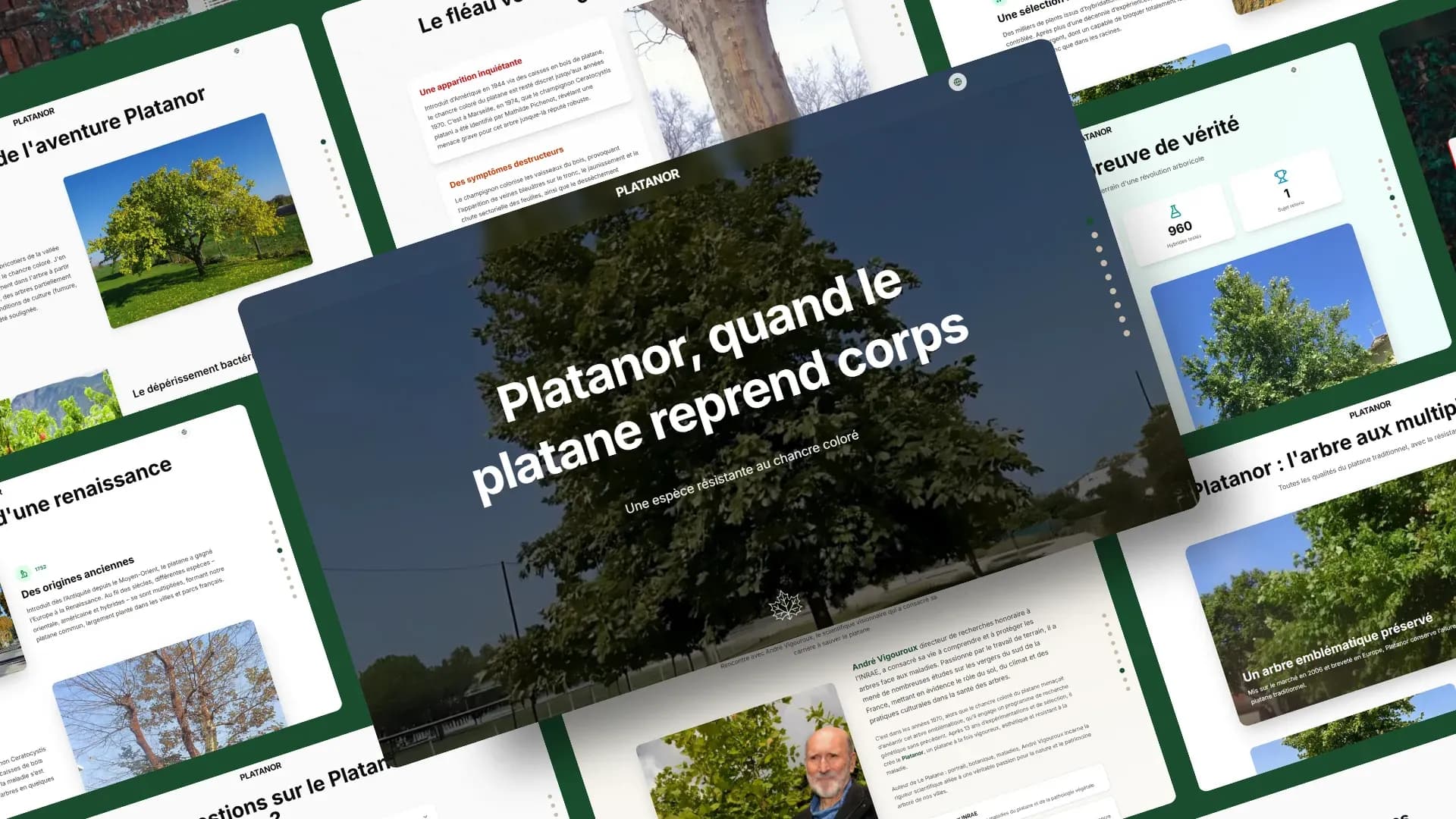 Site vitrine "Le Platanor"