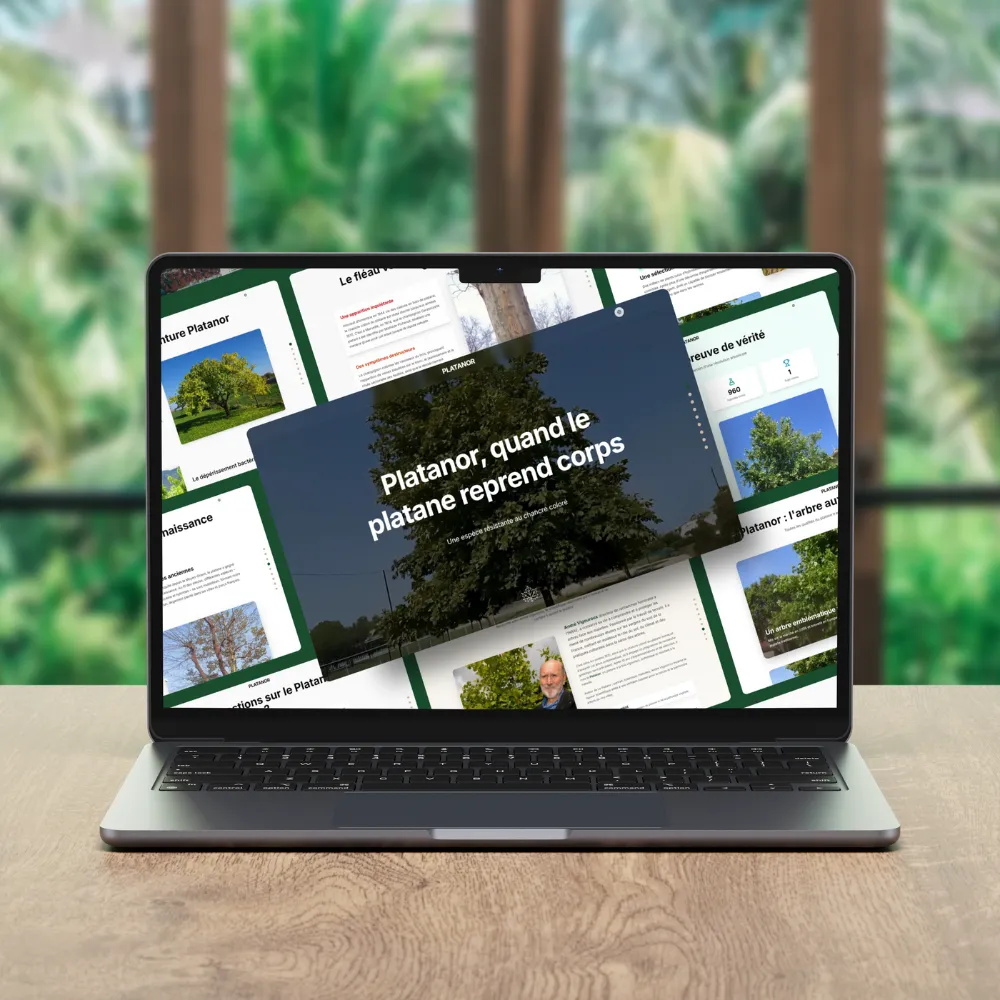 Illustration du service Product Design proposé par l'agence web Bracket Corp