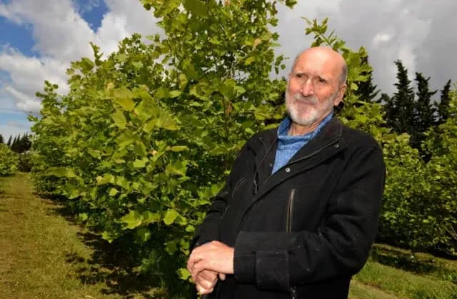 Photo d'André Vigouroux, chercheur à l'INRAE, créateur de l'espèce de platane Platanor